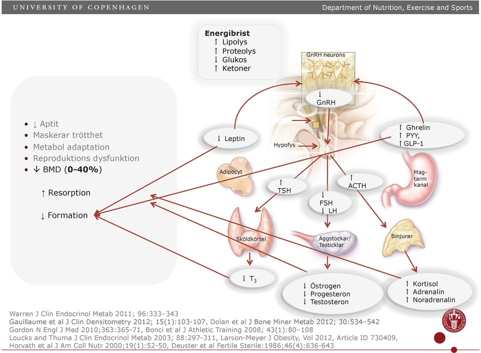 Endocrinol Mtab 2011; 96:333 343 Gauillaum t al J Clin Dnsitomtry 2012; 15(1):103-107, Dolan t al J Bon Minr Mtab 2012; 30:534 542 Gordon N Engl J Md 2010;363:365-71, Bonci t al J Athltic Train 2008;