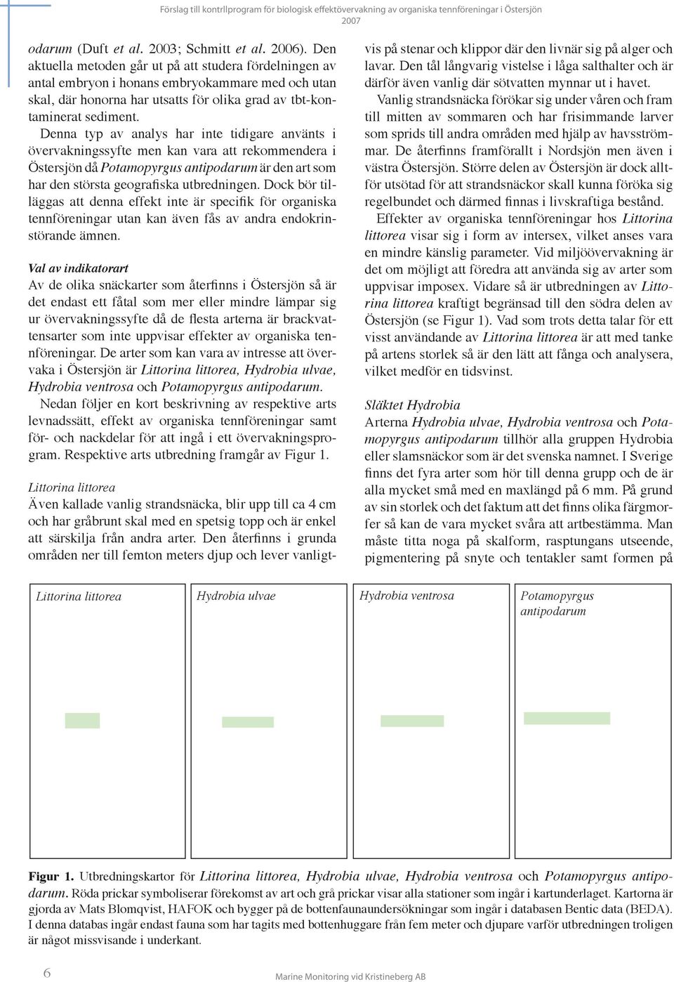 Denna typ av analys har inte tidigare använts i övervakningssyfte men kan vara att rekommendera i Östersjön då Potamopyrgus antipodarum är den art som har den största geografiska utbredningen.