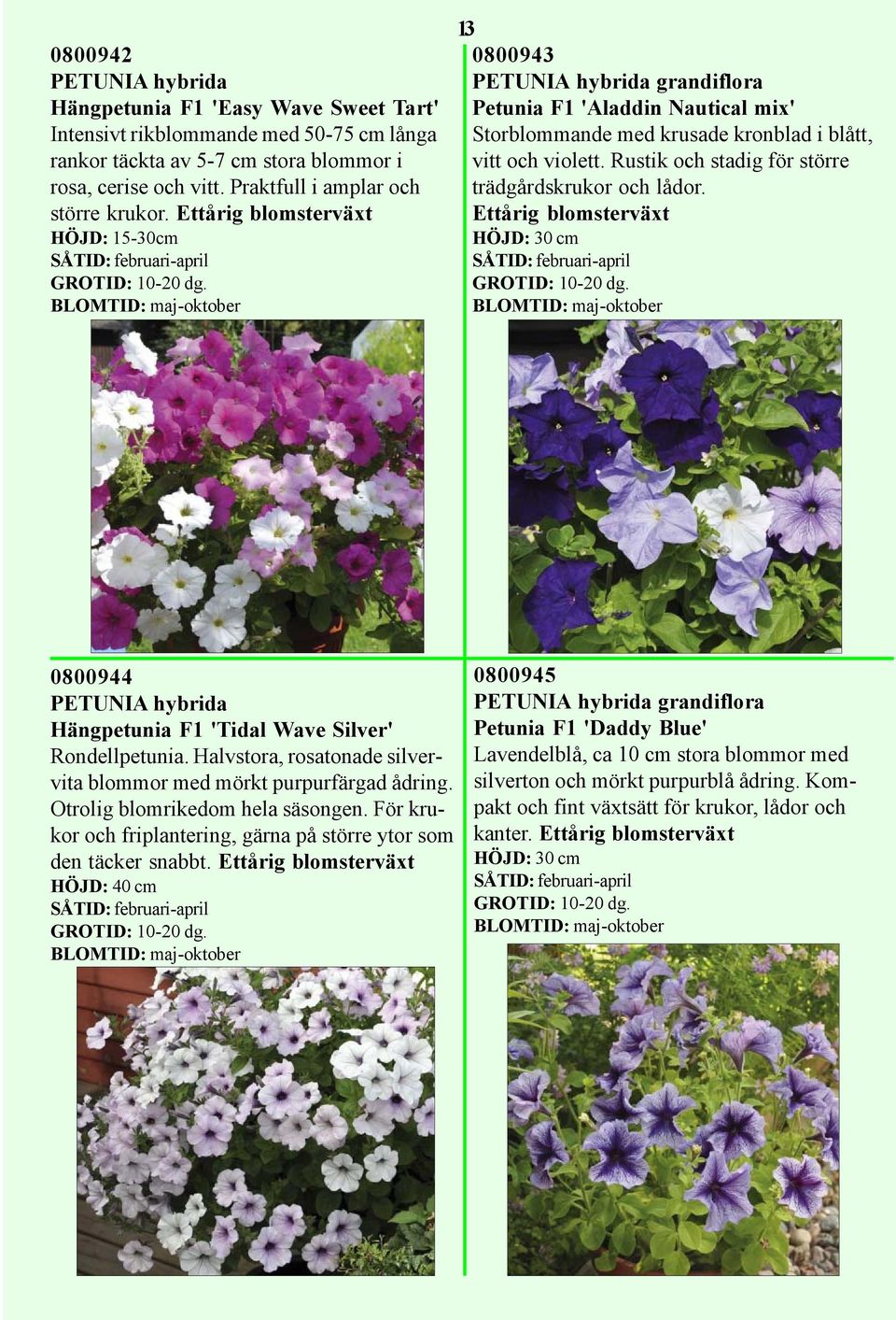 HÖJD: 15-30cm BLOMTID: maj-oktober 13 0800943 PETUNIA hybrida grandiflora Petunia F1 'Aladdin Nautical mix' Storblommande med krusade kronblad i blått, vitt och violett.