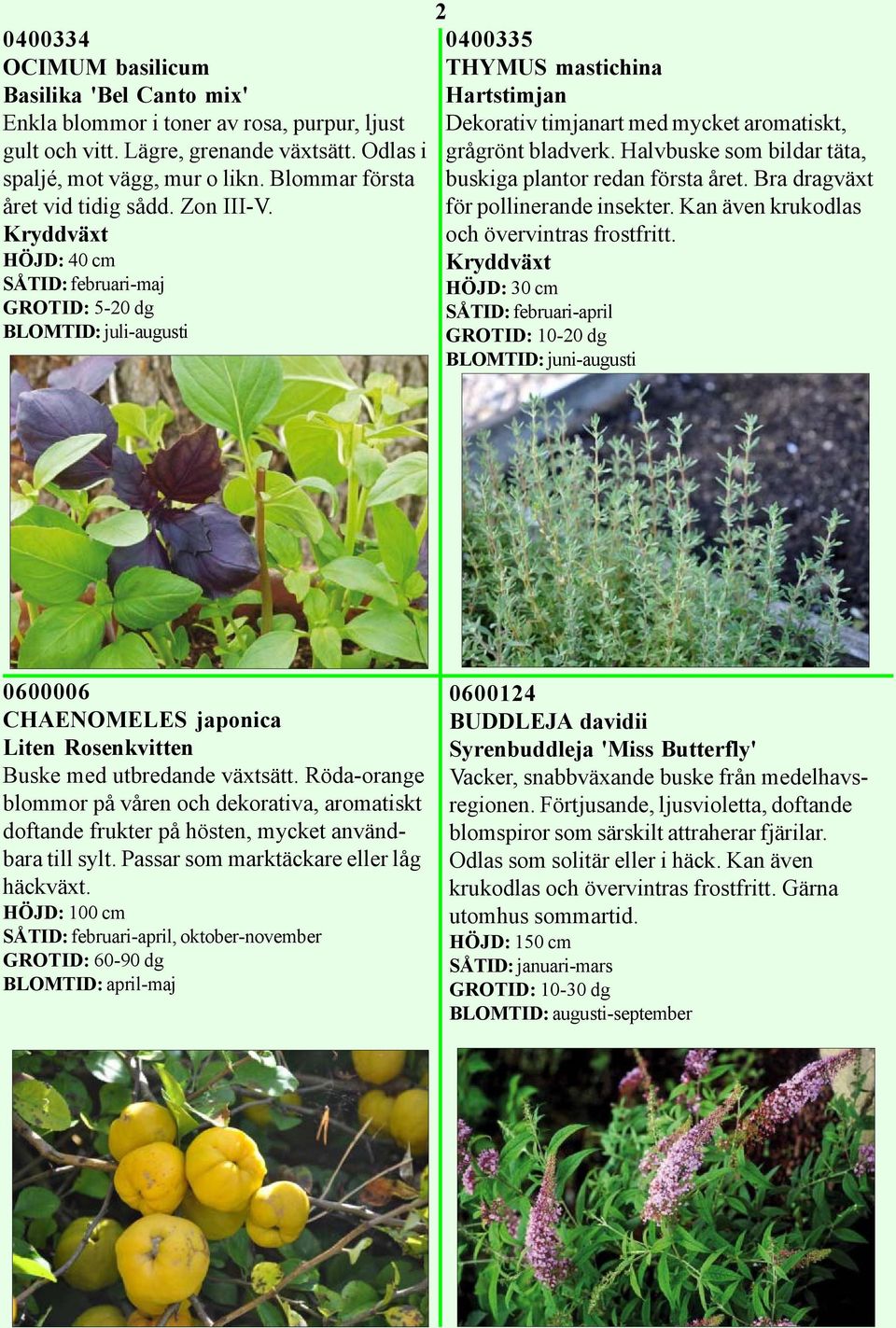 Kryddväxt HÖJD: 40 cm SÅTID: februari-maj GROTID: 5-20 dg BLOMTID: juli-augusti 2 0400335 THYMUS mastichina Hartstimjan Dekorativ timjanart med mycket aromatiskt, grågrönt bladverk.