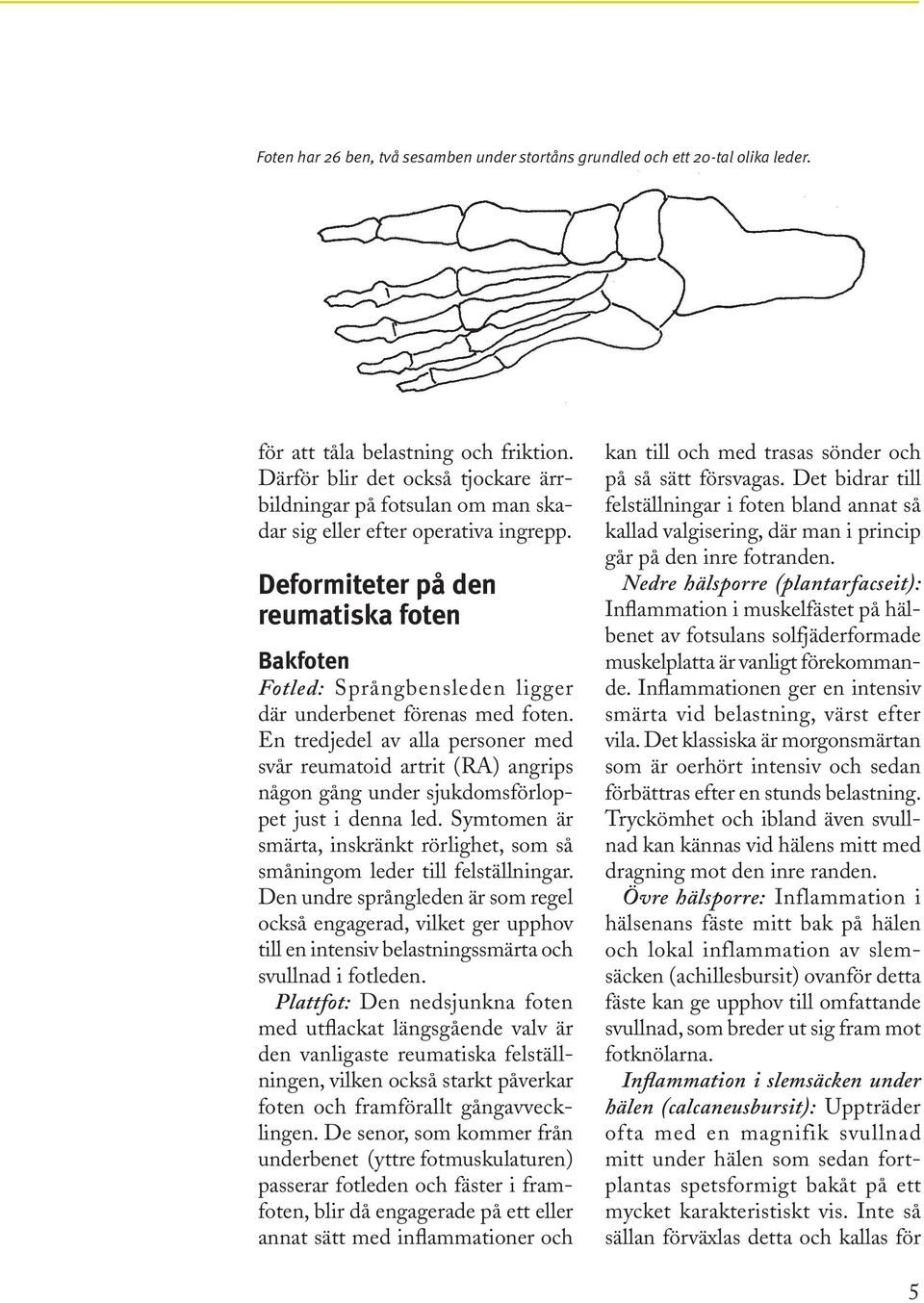 Deformiteter på den reumatiska foten Bakfoten Fotled: Språngbensleden ligger där underbenet förenas med foten.