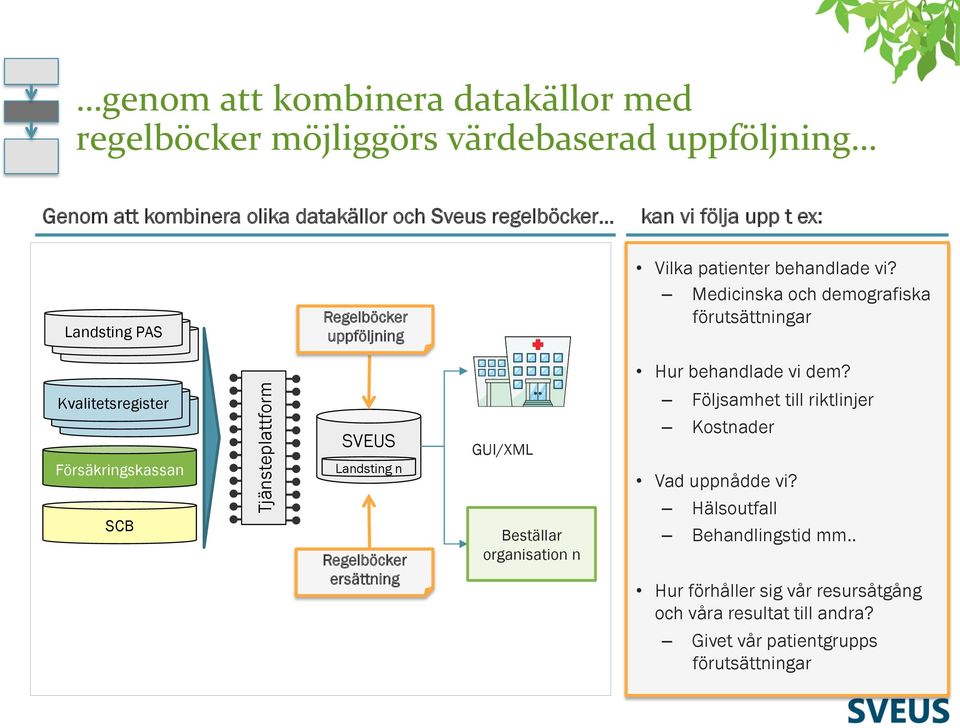 Regelböcker ersättning GUI/XML Beställar organisation n Vilka patienter behandlade vi? Medicinska och demografiska förutsättningar Hur behandlade vi dem?