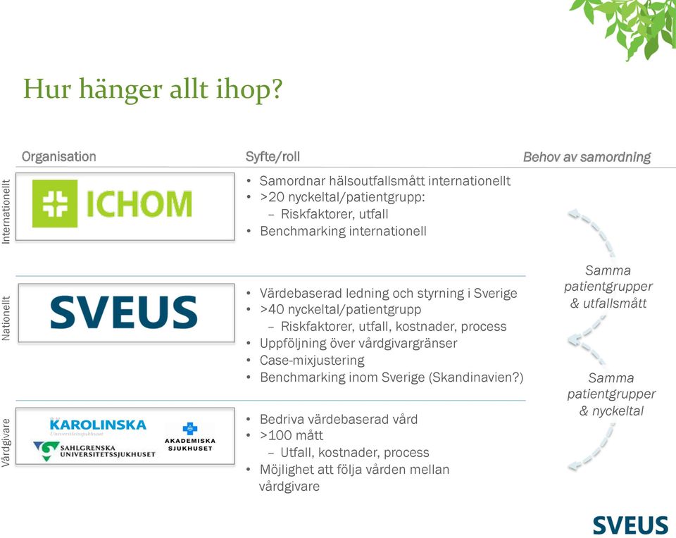 internationell Behov av samordning Nationellt Vårdgivare Värdebaserad ledning och styrning i Sverige >40 nyckeltal/patientgrupp Riskfaktorer, utfall,