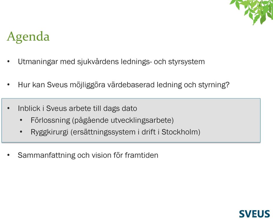 Inblick i Sveus arbete till dags dato Förlossning (pågående