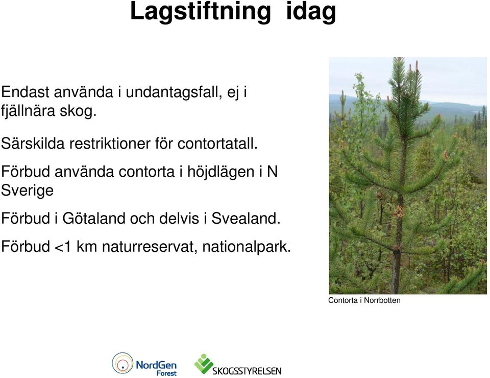 Förbud använda contorta i höjdlägen i N Sverige Förbud i Götaland