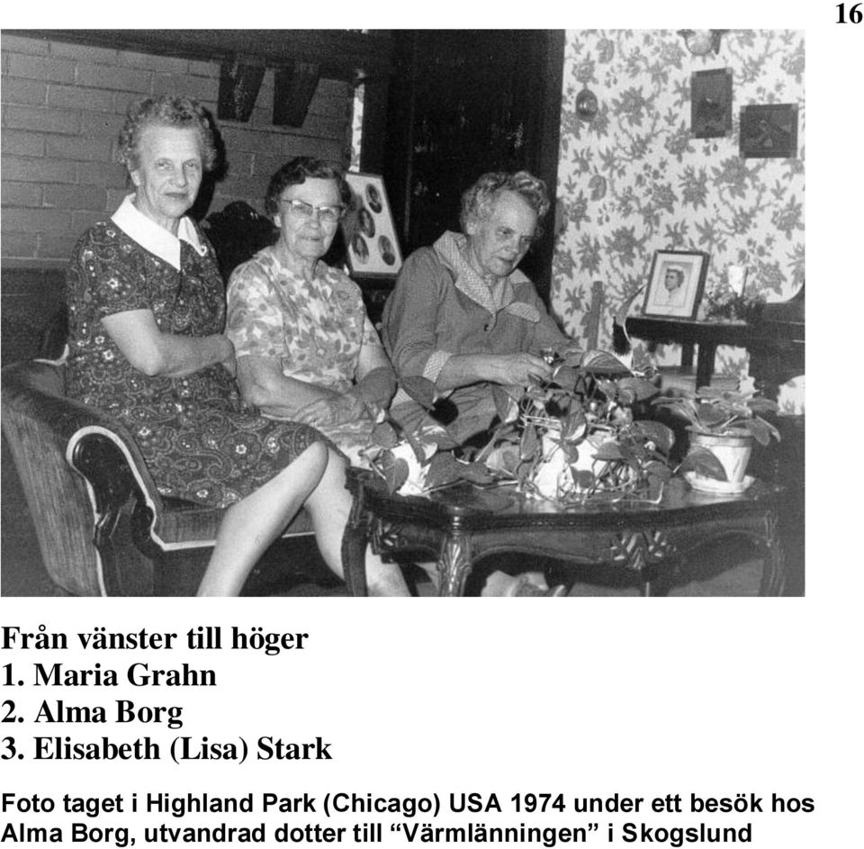 Elisabeth (Lisa) Stark Foto taget i Highland Park