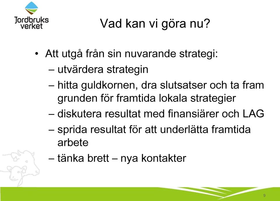 guldkornen, dra slutsatser och ta fram grunden för framtida lokala