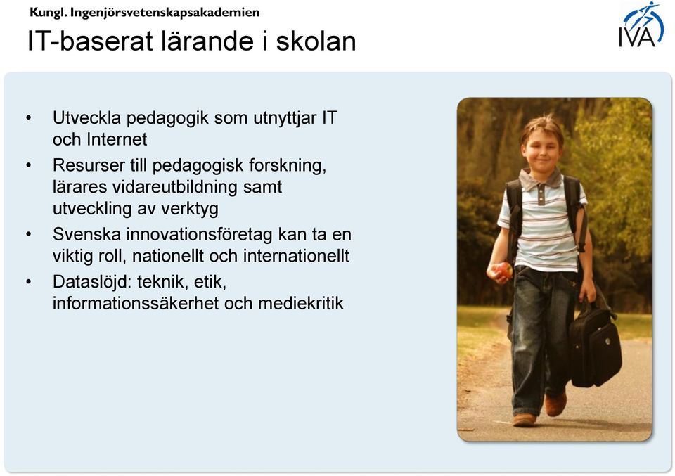 av verktyg Svenska innovationsföretag kan ta en viktig roll, nationellt och