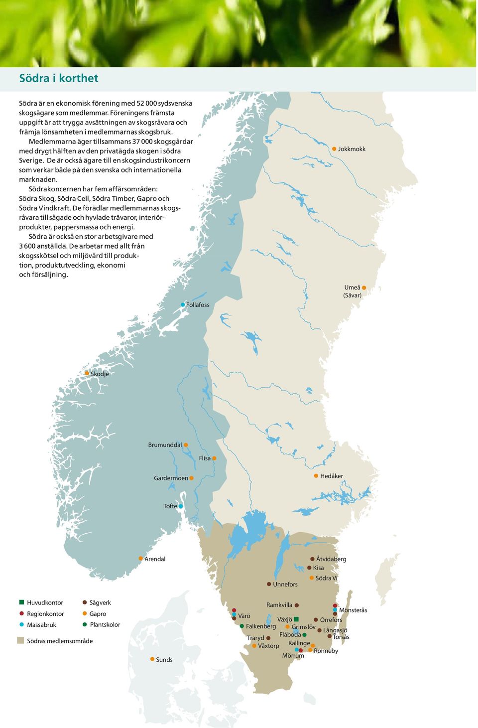 Medlemmarna äger tillsammans 37 skogsgårdar med drygt hälften av den privatägda skogen i södra Sverige.