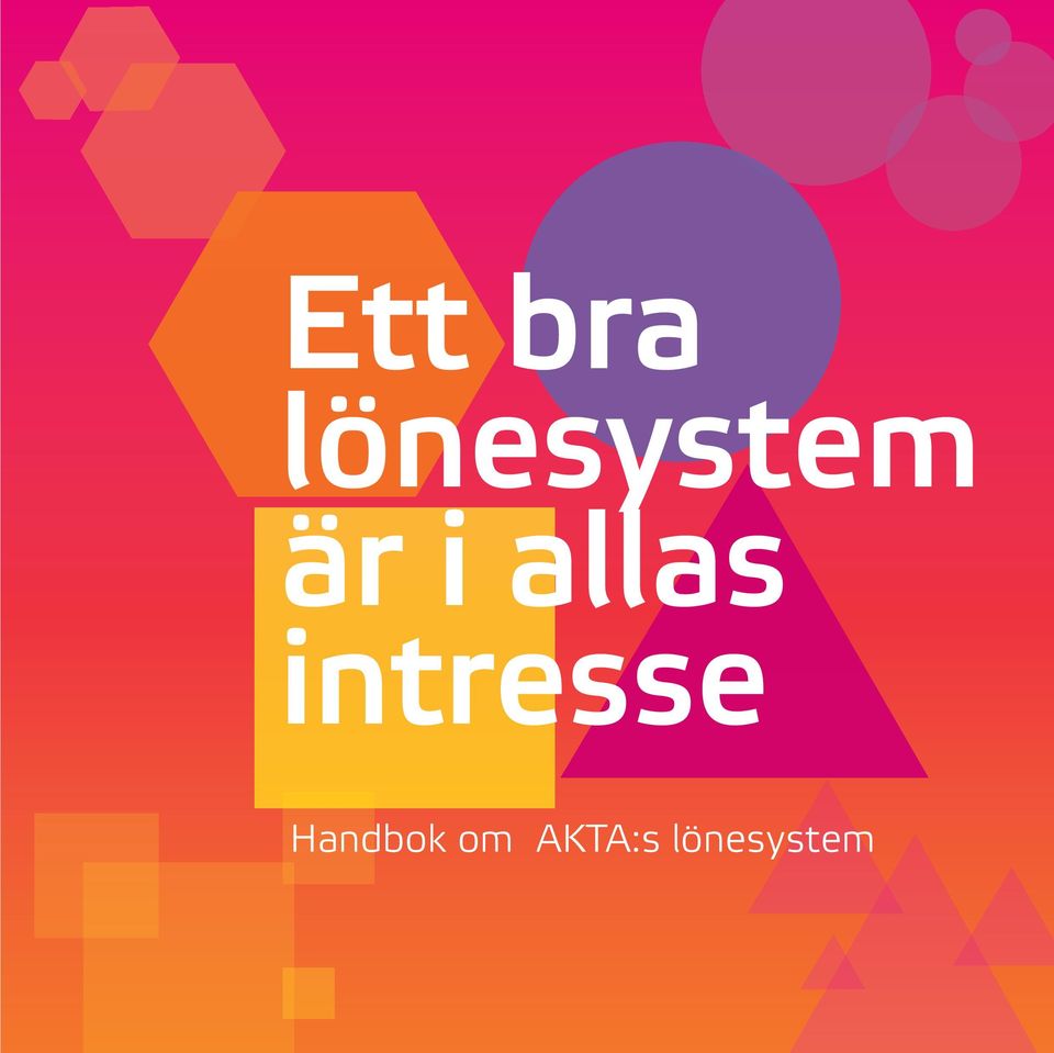 om AKTA:s lönesystem