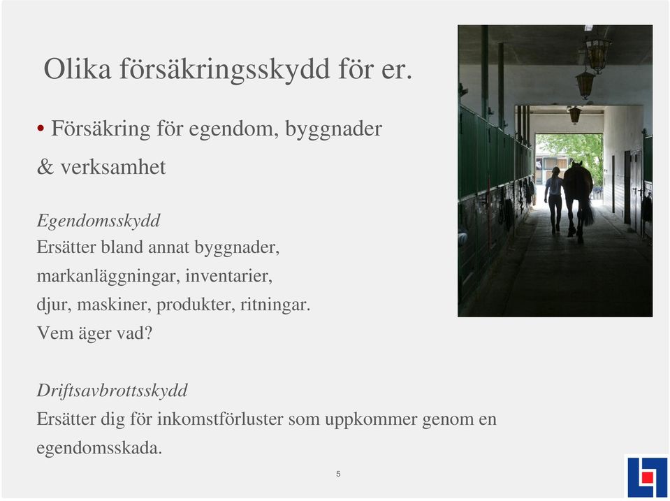 bland annat byggnader, markanläggningar, inventarier, djur, maskiner,