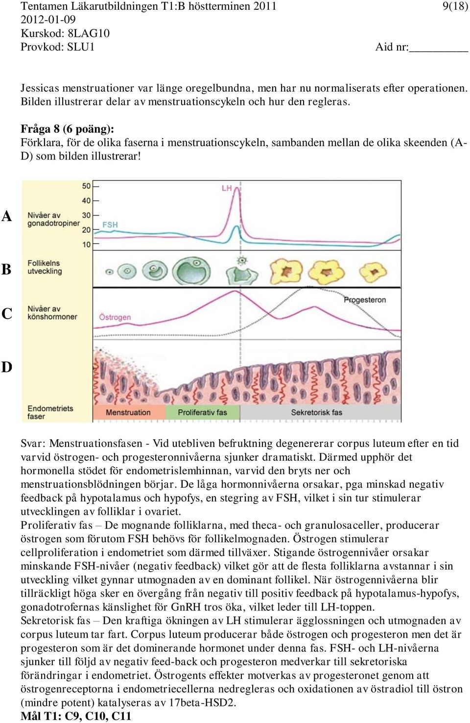 Fråga 8 (6 poäng): Förklara, för de olika faserna i menstruationscykeln, sambanden mellan de olika skeenden (A- D) som bilden illustrerar!