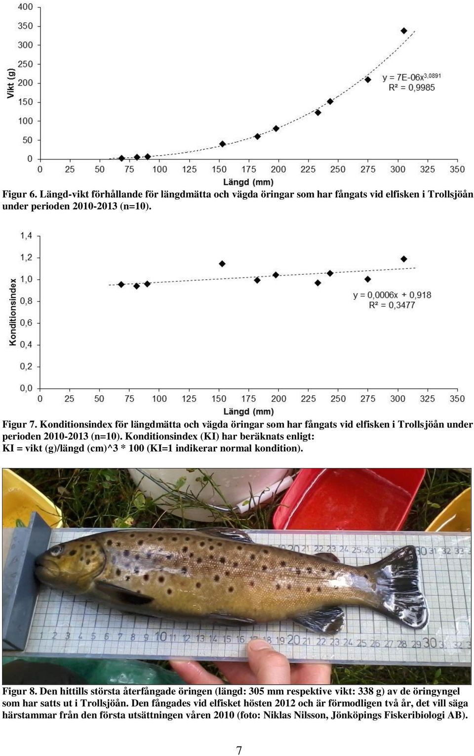 Konditionsindex (KI) har beräknats enligt: KI = vikt (g)/längd (cm)^3 * 100 (KI=1 indikerar normal kondition). Figur 8.