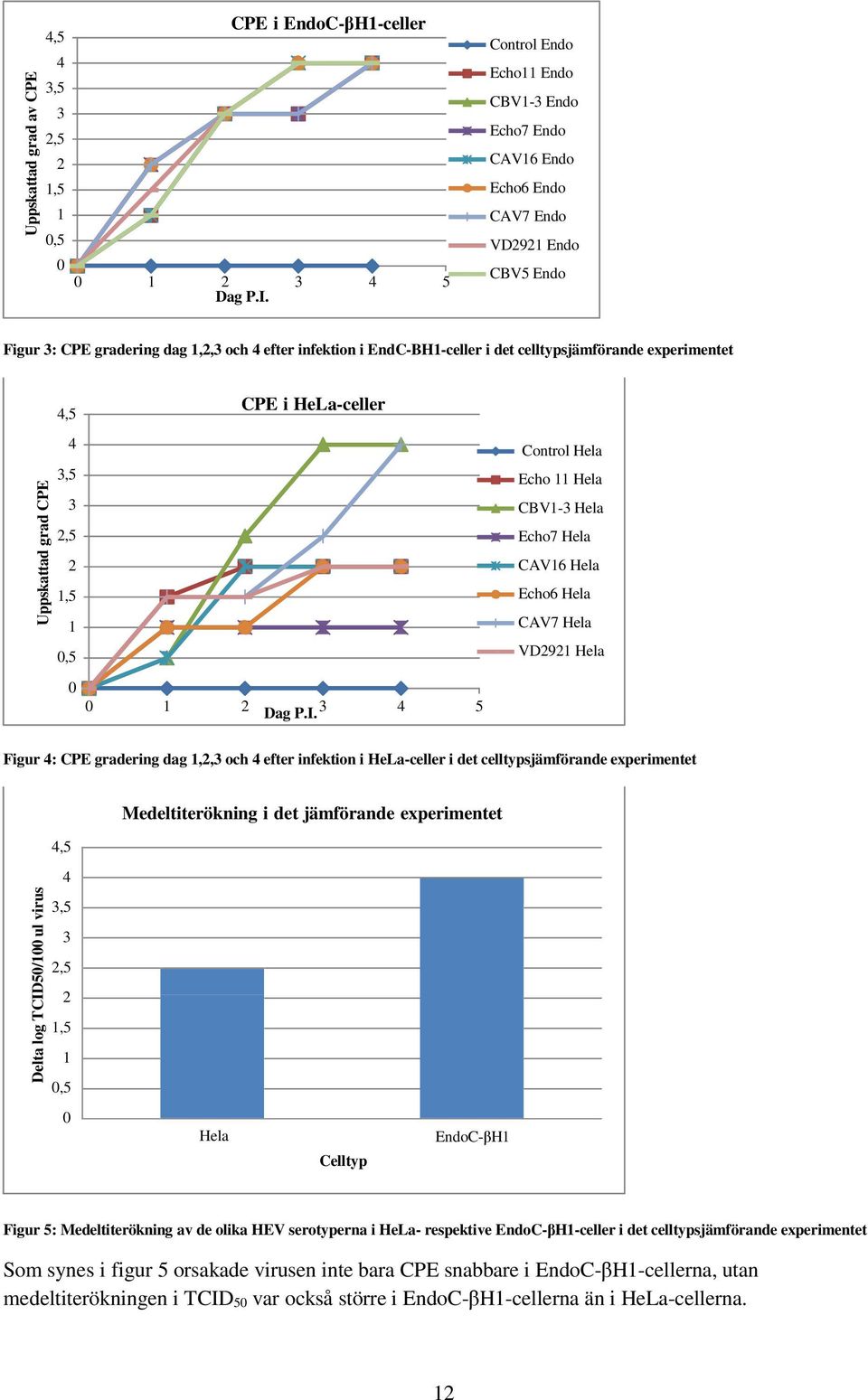 experimentet 4,5 CPE i HeLa-celler Delta log TCID50/100 ul virus Uppskattad grad CPE 4 3,5 3 2,5 2 1,5 1 0,5 Control Hela Echo 11 Hela CBV1-3 Hela Echo7 Hela CAV16 Hela Echo6 Hela CAV7 Hela VD2921