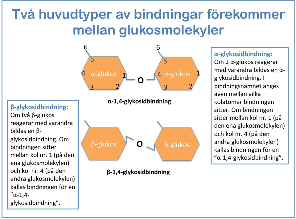 4 6 5 α- glukos 3 2 β- glukos 1 O α- 1,4- glykosidbindning O 6 4 5 β- 1,4- glykosidbindning α- glukos 3 2 β- glukos 1 α- glykosidbindning: Om 2 α- glukos reagerar med varandra bildas en α-