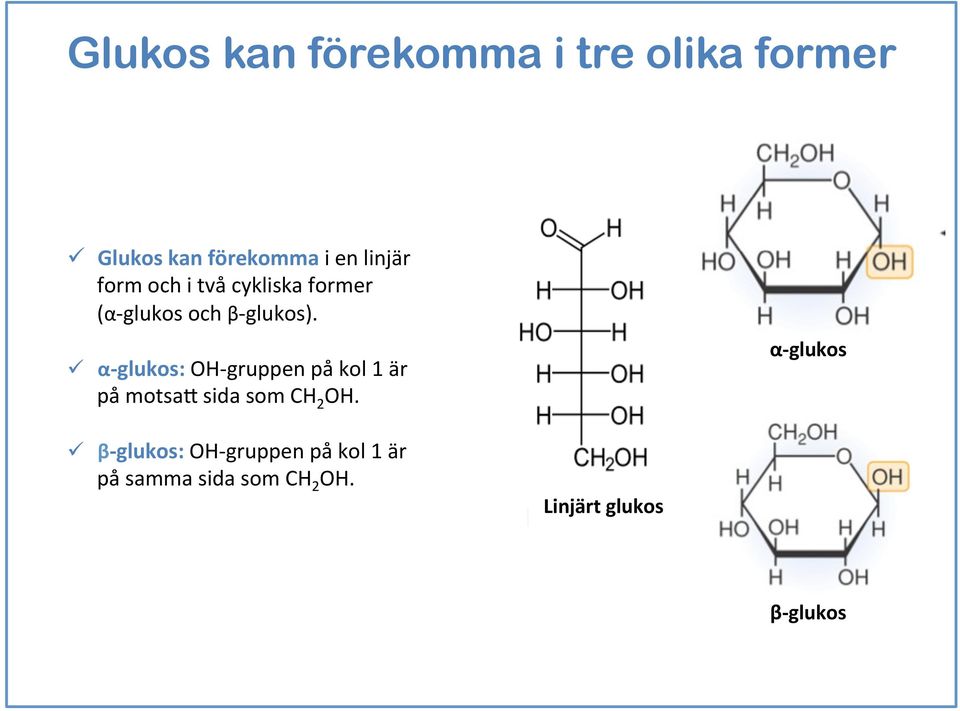 ü α- glukos: OH- gruppen på kol 1 är på motsa8 sida som CH 2 OH.