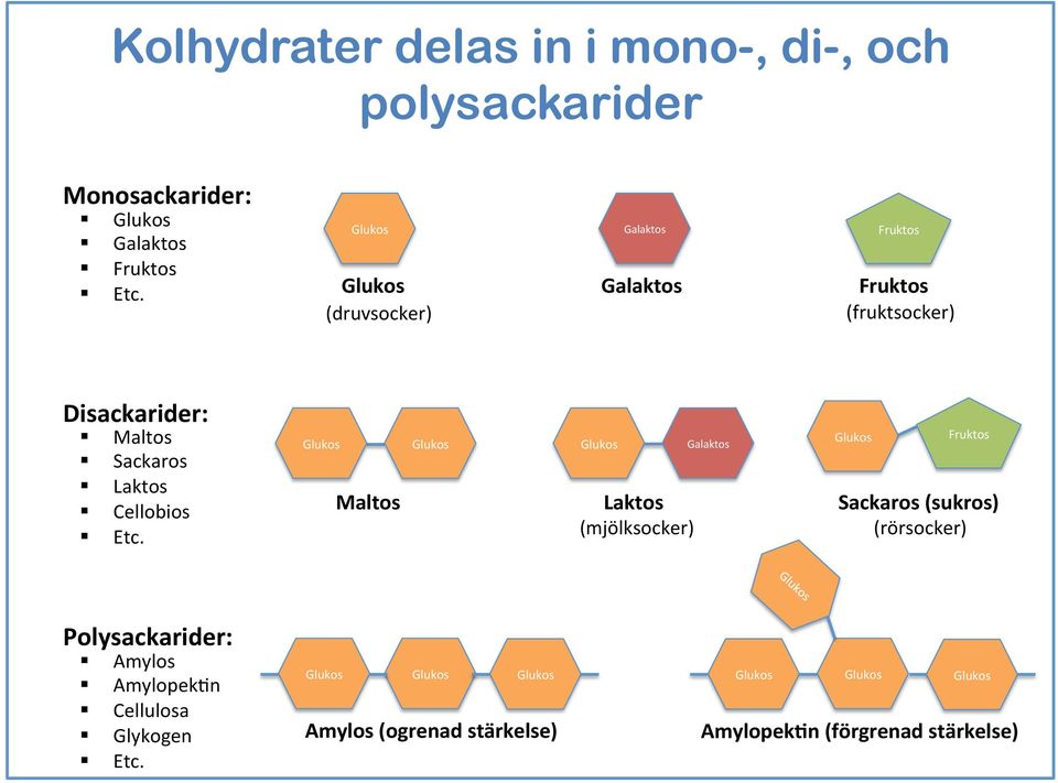 Etc. Glukos Fruktos Glukos Glukos Glukos Galaktos Maltos Laktos Sackaros (sukros) (mjölksocker) (rörsocker)