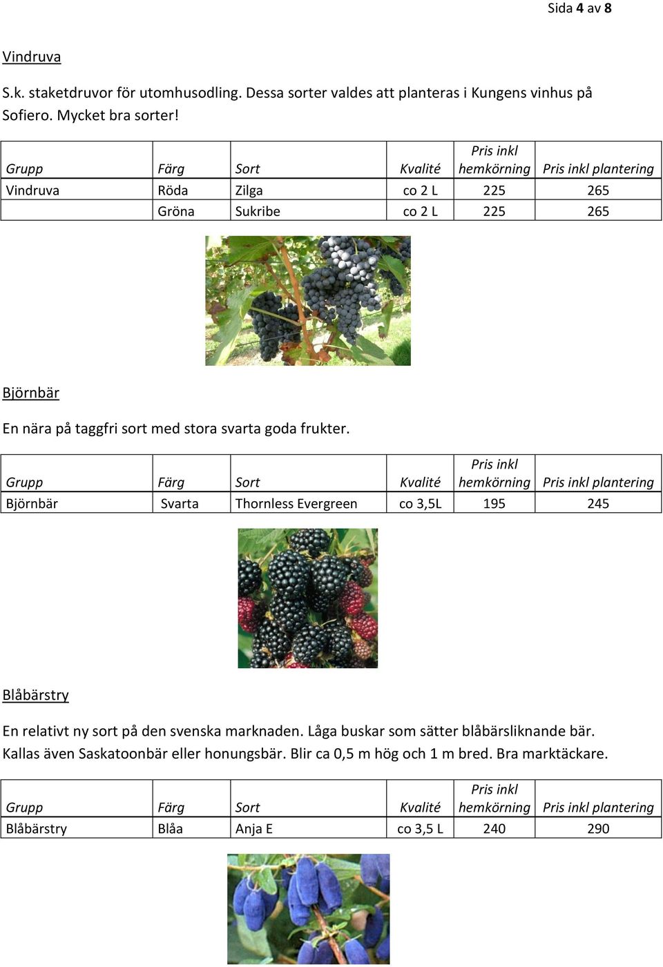 hemkörning plantering Björnbär Svarta Thornless Evergreen co 3,5L 195 245 Blåbärstry En relativt ny sort på den svenska marknaden.