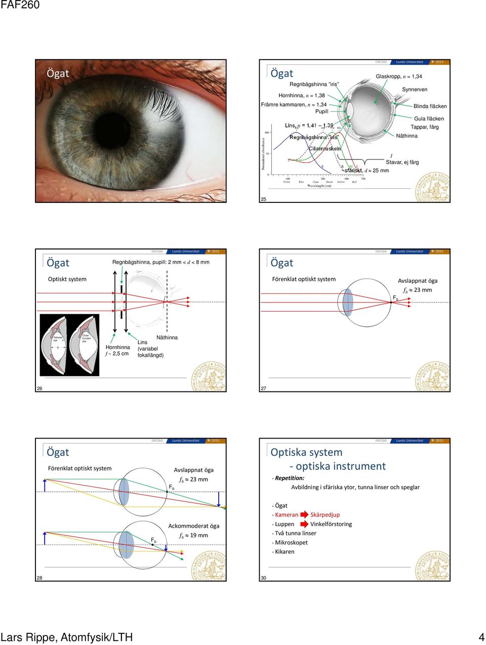 system Avslppnt ög 23 mm Horninn ~ 2,5 cm Nätinn Lins (vriel okllängd) 26 27 Ögt Förenklt optiskt system Avslppnt ög 23 mm Optisk system optisk