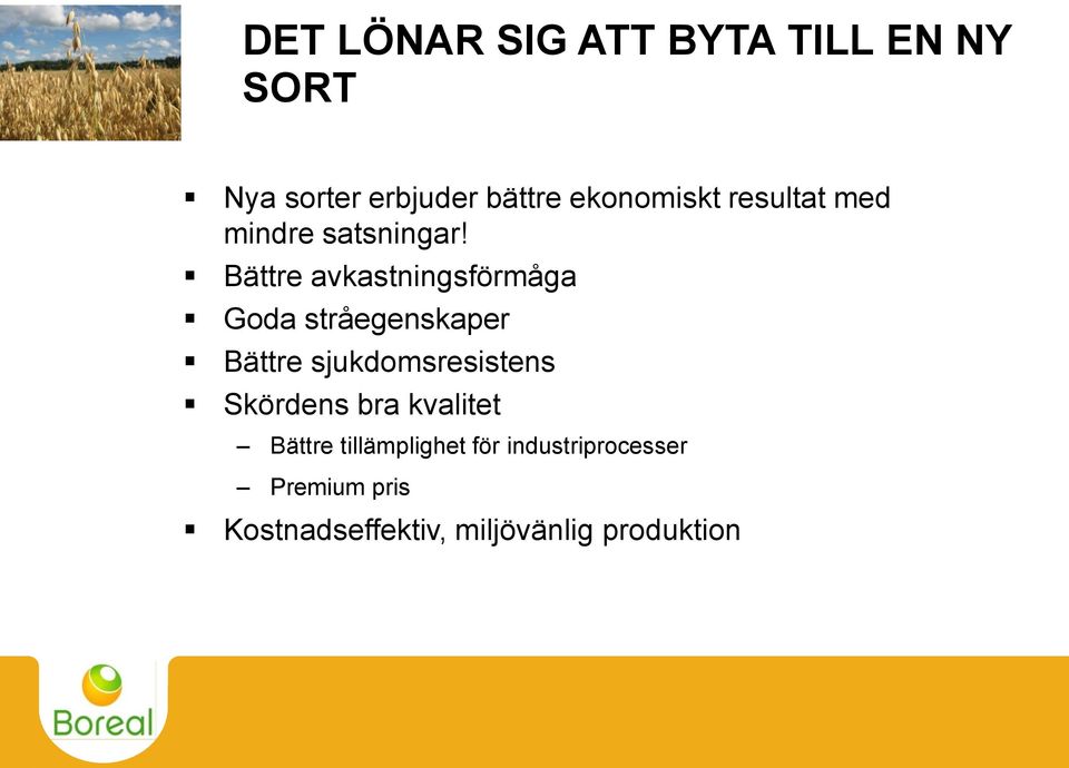 Bättre avkastningsförmåga Goda stråegenskaper Bättre sjukdomsresistens