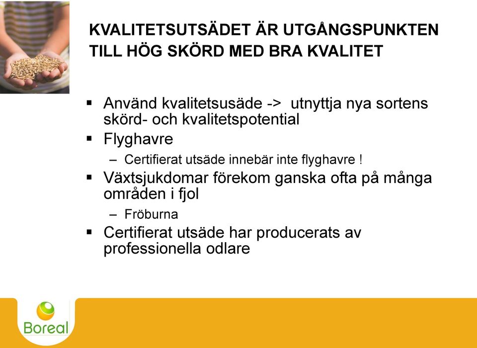 Certifierat utsäde innebär inte flyghavre!