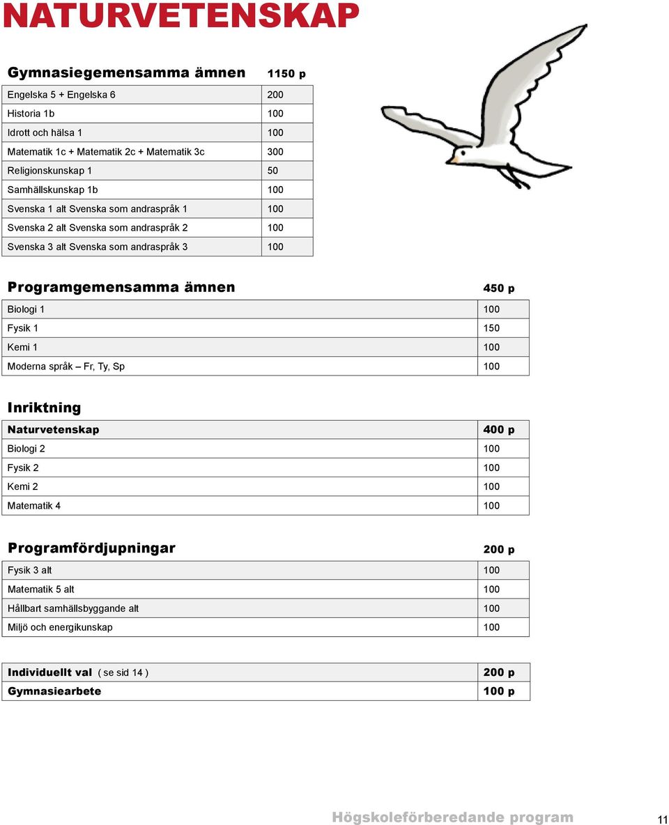 450 p Biologi 1 100 Fysik 1 150 Kemi 1 100 Moderna språk Fr, Ty, Sp 100 Inriktning Naturvetenskap 400 p Biologi 2 100 Fysik 2 100 Kemi 2 100 Matematik 4 100 Programfördjupningar