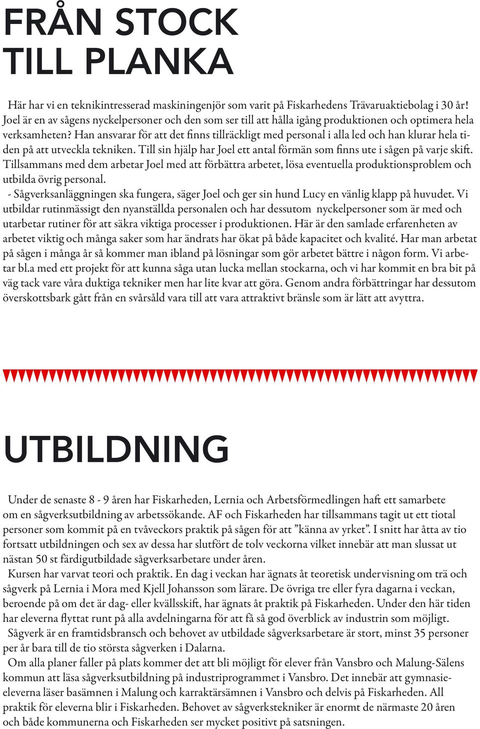 Han ansvarar för att det finns tillräckligt med personal i alla led och han klurar hela tiden på att utveckla tekniken. Till sin hjälp har Joel ett antal förmän som finns ute i sågen på varje skift.