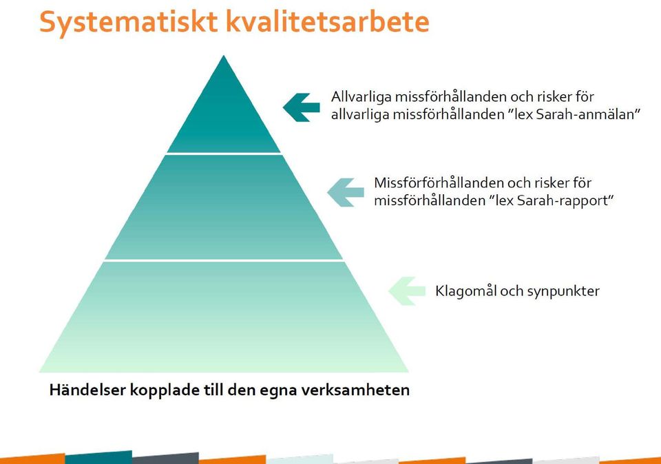 Missförförhållanden och risker för missförhållanden " lex Sarah