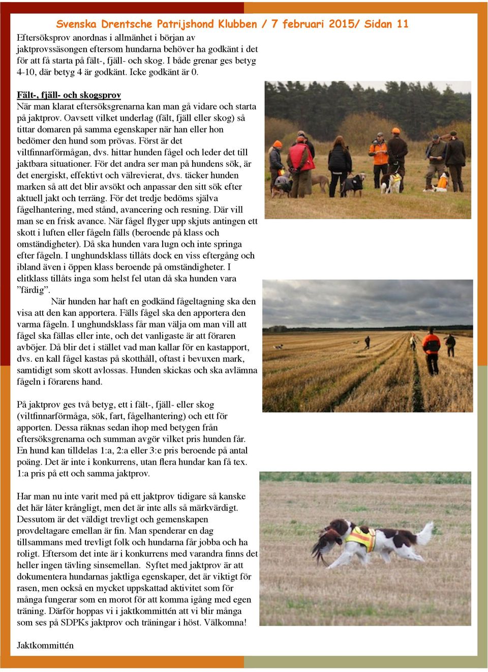 Oavsett vilket underlag (fält, fjäll eller skog) så tittar domaren på samma egenskaper när han eller hon bedömer den hund som prövas. Först är det viltfinnarförmågan, dvs.