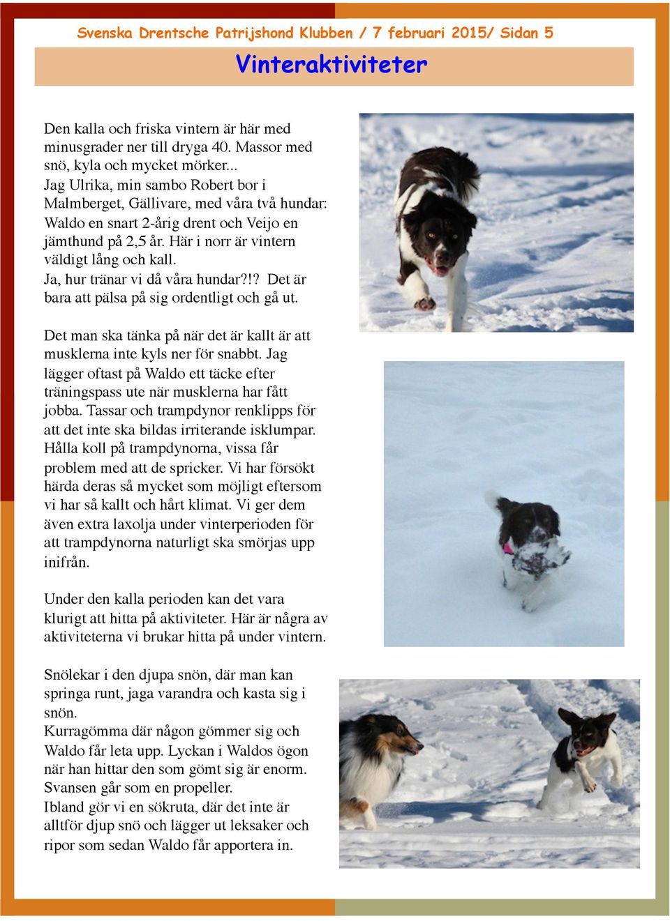 Ja, hur tränar vi då våra hundar?!? Det är bara att pälsa på sig ordentligt och gå ut. Det man ska tänka på när det är kallt är att musklerna inte kyls ner för snabbt.