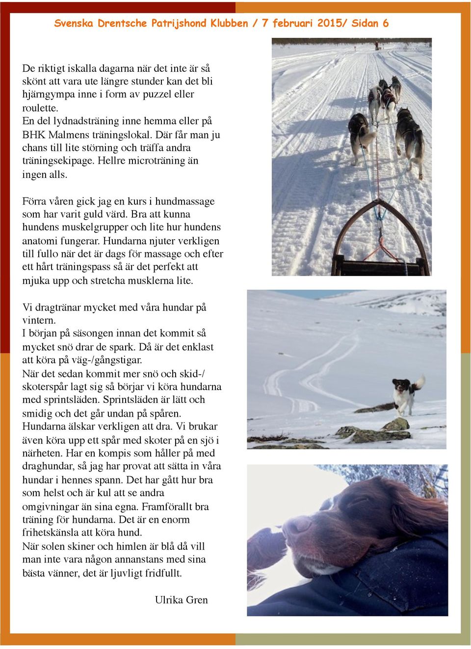 Förra våren gick jag en kurs i hundmassage som har varit guld värd. Bra att kunna hundens muskelgrupper och lite hur hundens anatomi fungerar.
