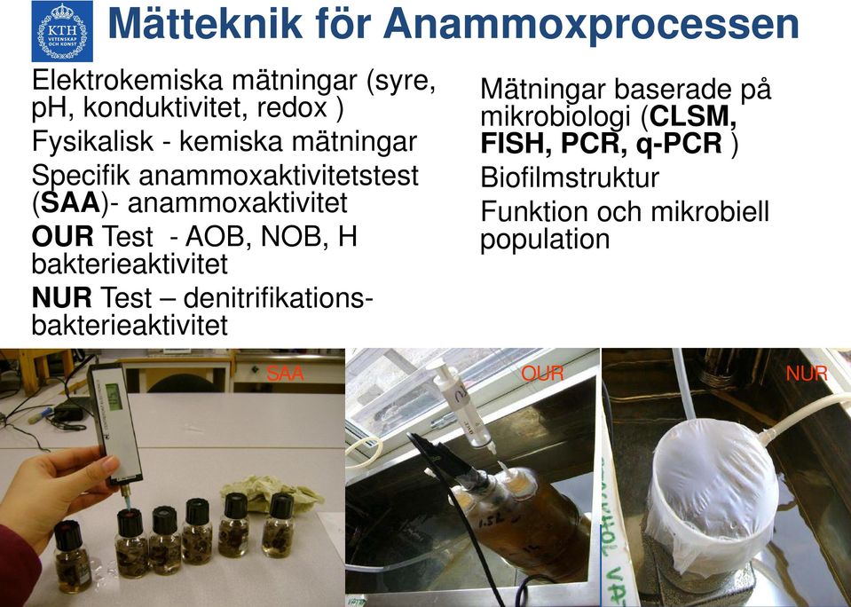 - AOB, NOB, H bakterieaktivitet NUR Test denitrifikationsbakterieaktivitet Mätningar baserade