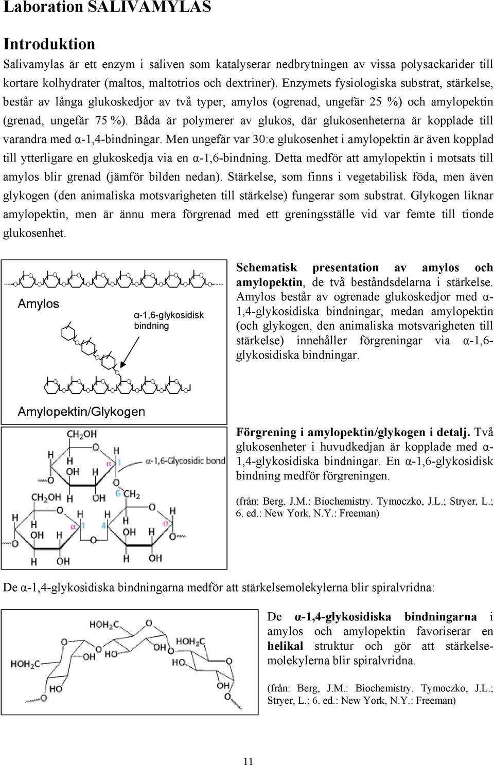 Båda är polymerer av glukos, där glukosenheterna är kopplade till varandra med α-1,4-bindningar.