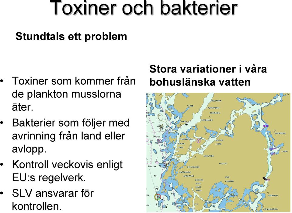 Bakterier som följer med avrinning från land eller avlopp.