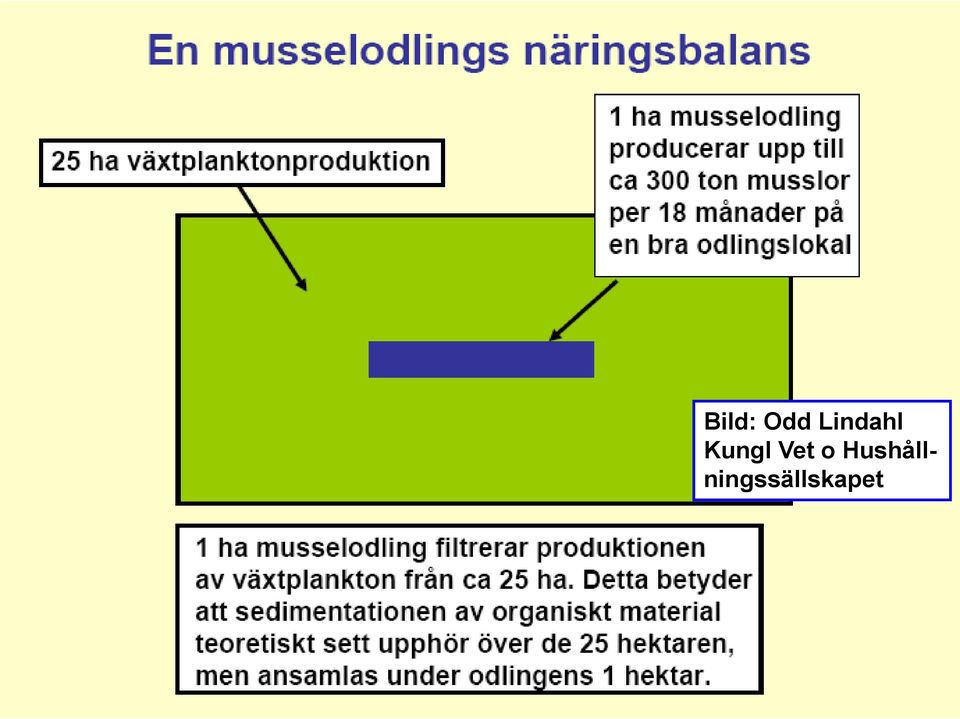 Kungl Vet o