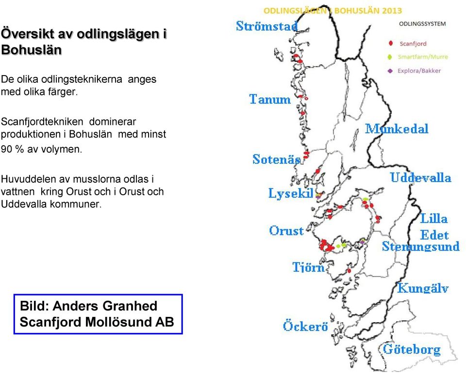 Scanfjordtekniken dominerar produktionen i Bohuslän med minst 90 % av