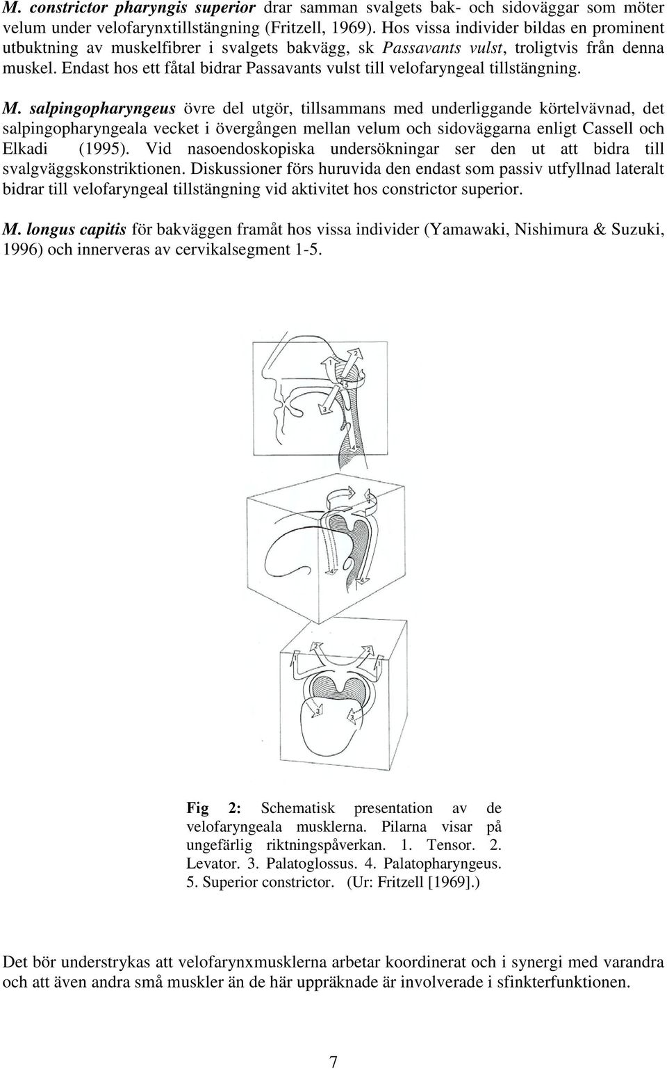 Endast hos ett fåtal bidrar Passavants vulst till velofaryngeal tillstängning. M.