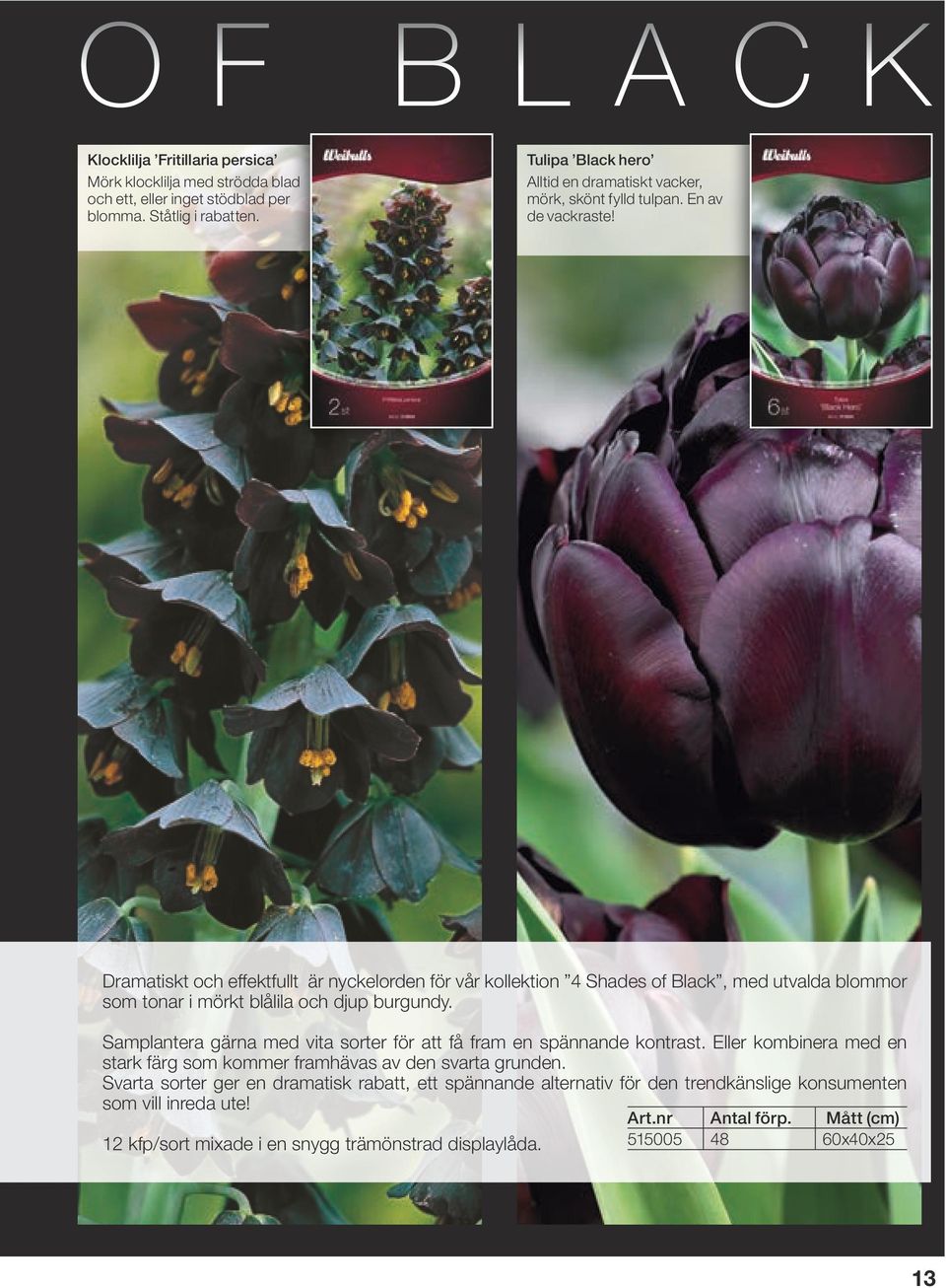 Dramatiskt och effektfullt är nyckelorden för vår kollektion 4 Shades of Black, med utvalda blommor som tonar i mörkt blålila och djup burgundy.