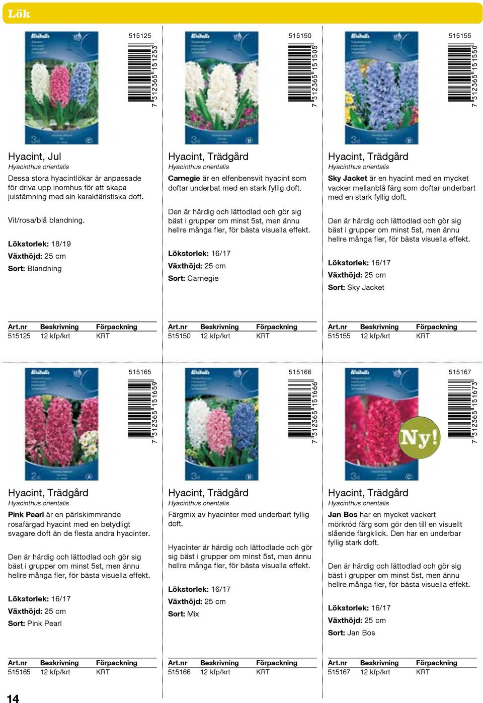 Lökstorlek: 18/19 Växthöjd: 25 cm Sort: Blandning Hyacint, Trädgård Hyacinthus orientalis Carnegie är en elfenbensvit hyacint som doftar underbat med en stark fyllig doft.