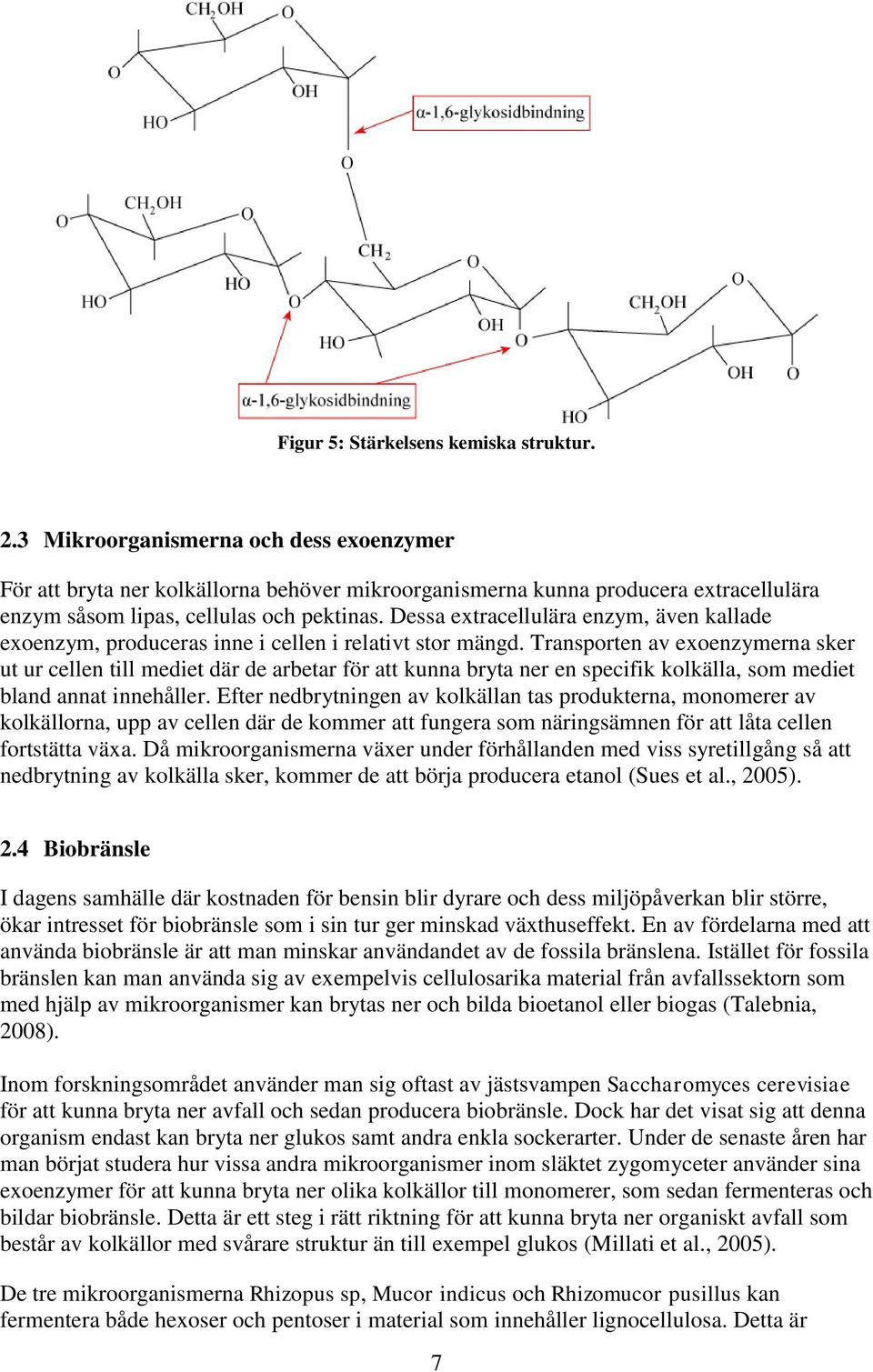 Dessa extracellulära enzym, även kallade exoenzym, produceras inne i cellen i relativt stor mängd.