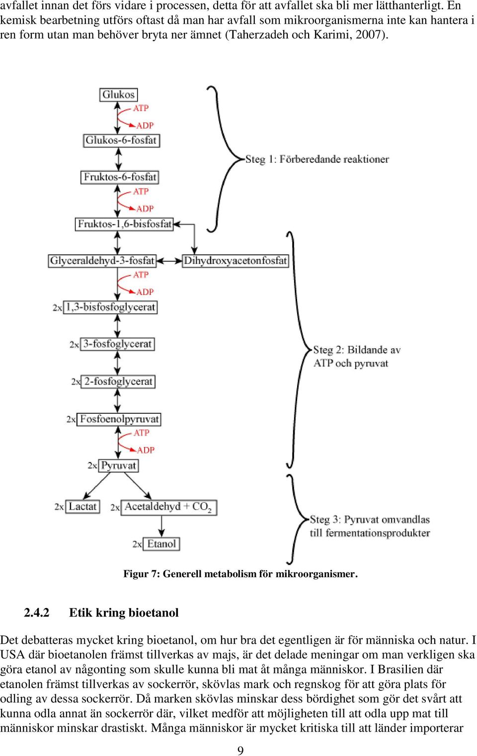 Figur 7: Generell metabolism för mikroorganismer. 2.4.2 Etik kring bioetanol Det debatteras mycket kring bioetanol, om hur bra det egentligen är för människa och natur.
