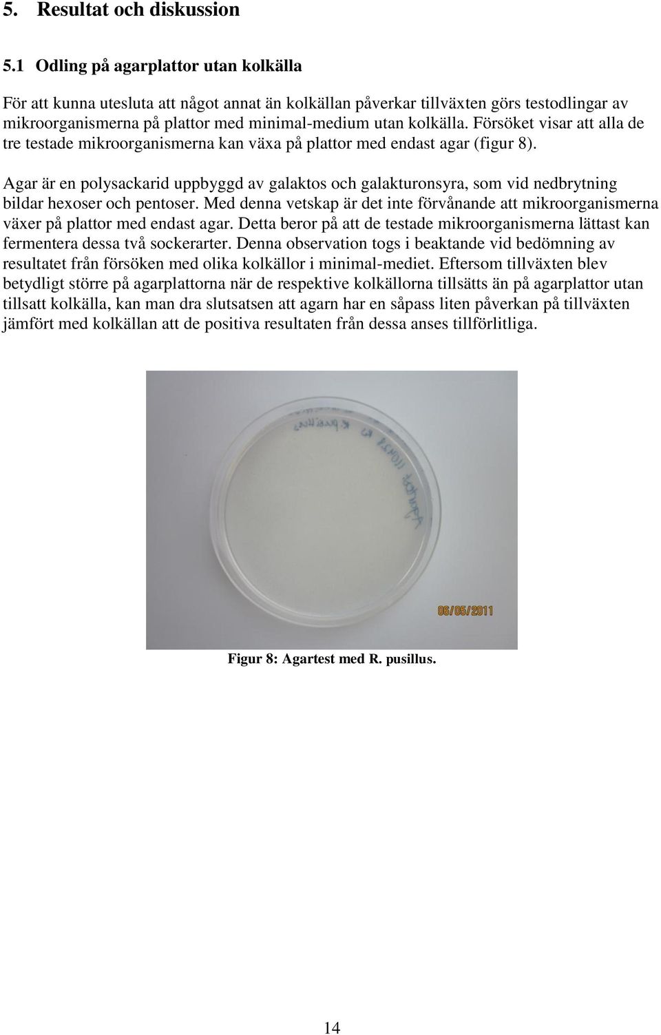 Försöket visar att alla de tre testade mikroorganismerna kan växa på plattor med endast agar (figur 8).