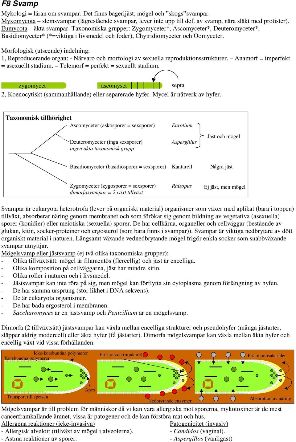 Morfologisk (utseende) indelning: 1, Reproducerande organ: - Närvaro och morfologi av sexuella reproduktionsstrukturer. Anamorf = imperfekt = asexuellt stadium. Telemorf = perfekt = sexuellt stadium.