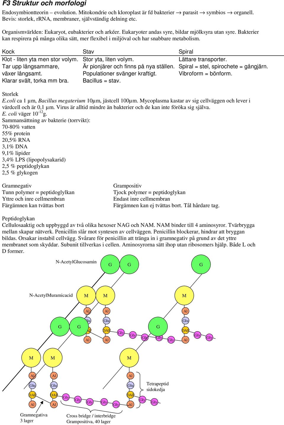 Kock Stav Spiral Klot - liten yta men stor volym. Stor yta, liten volym. Lättare transporter. Tar upp långsammare, Är pionjärer och finns på nya ställen. Spiral = stel, spirochete = gångjärn.