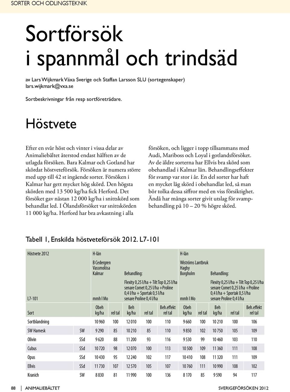 Försöken är numera större med upp till 2 st ingående sorter. Försöken i Kalmar har gett mycket hög skörd. Den högsta skörden med 1 00 kg/ha fick Herford.