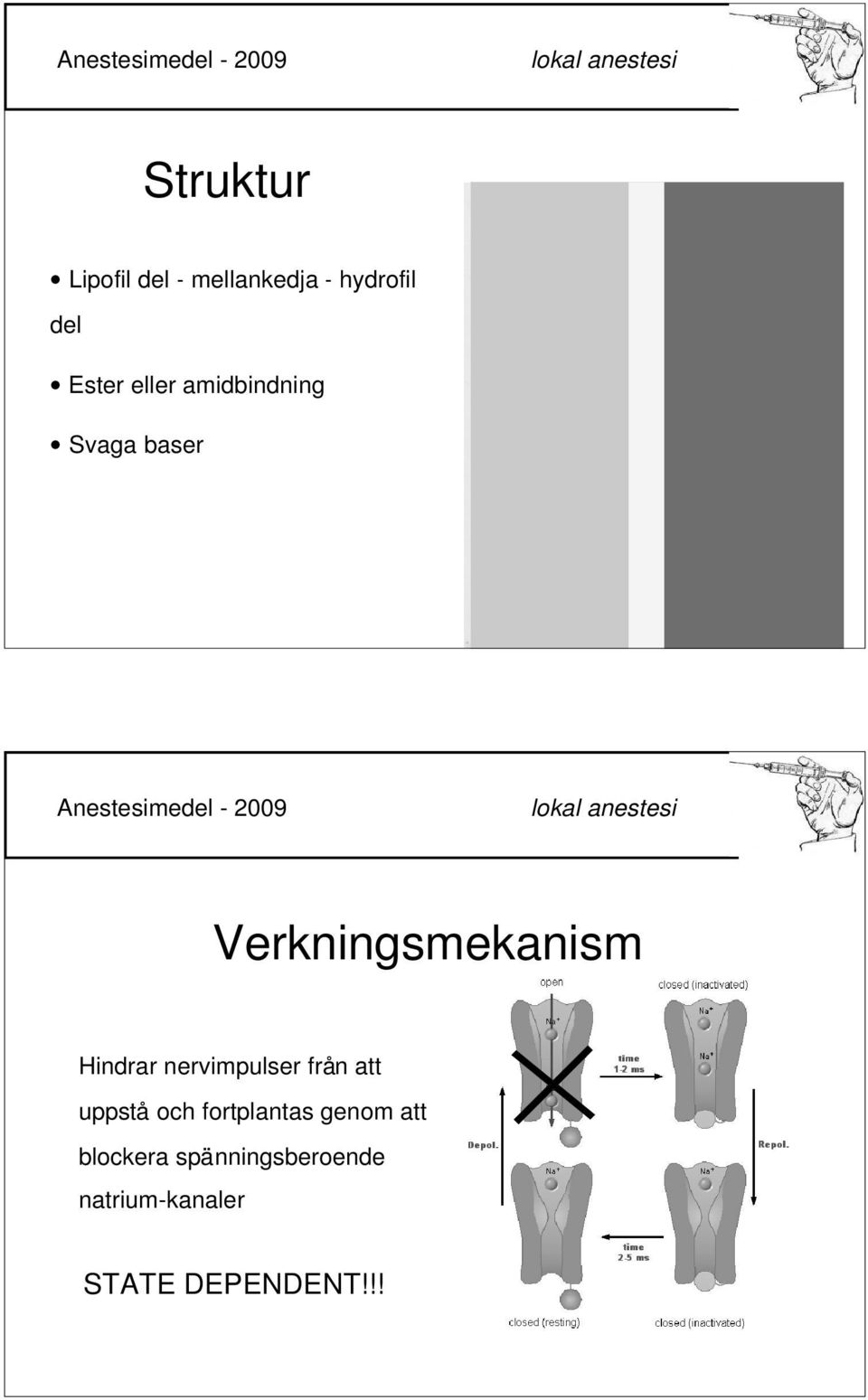 nervimpulser från att uppstå och fortplantas genom att