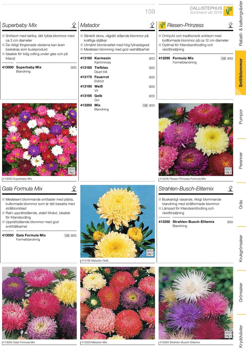 idealisk för frilandsodling Upprättstående blommor med god snitthållbarhet 413050 Gala Formula Mix Formelblandning Matador Särskilt stora, vågrätt stående blommor på kraftiga stjälkar Utmärkt