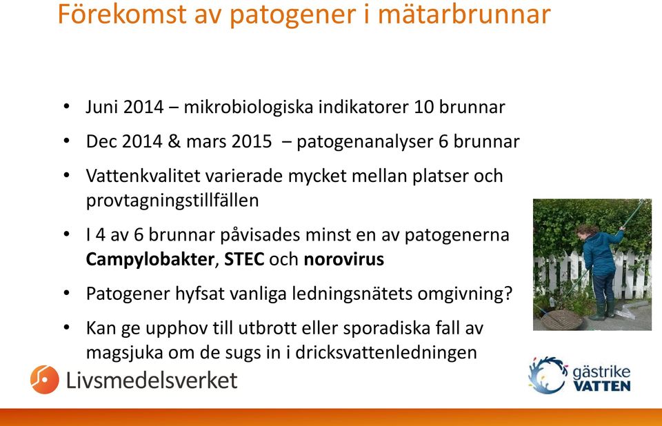 brunnar påvisades minst en av patogenerna Campylobakter, STEC och norovirus Patogener hyfsat vanliga