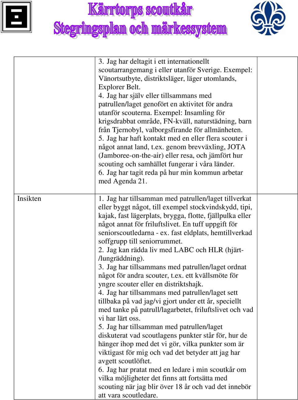 Exempel: Insamling för krigsdrabbat område, FN-kväll, naturstädning, barn från Tjernobyl, valborgsfirande för allmänheten. 5. Jag har haft kontakt med en eller flera scouter i något annat land, t.ex.