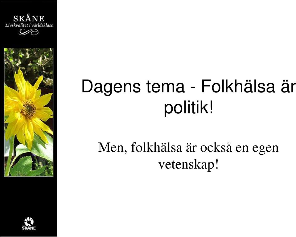 politik!